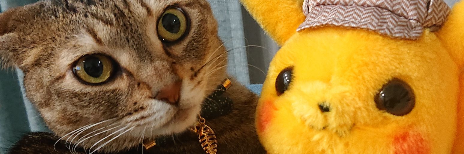 pippikaharurl's profile banner image