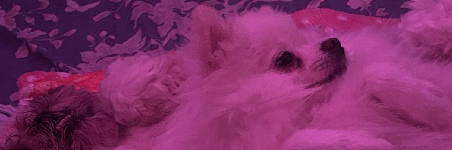 ellasko1's profile banner image