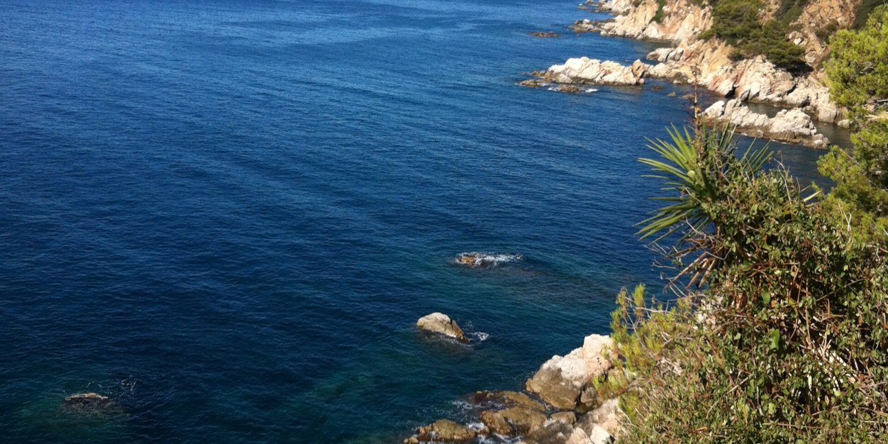 julie grivaux banner