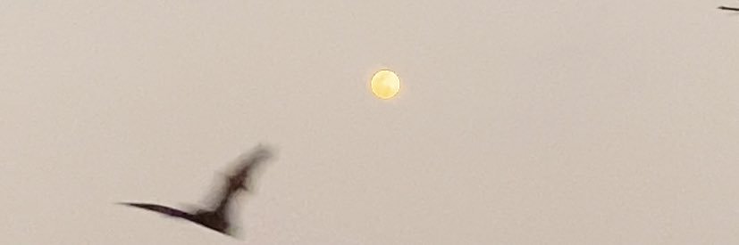 AlaaIzi's profile banner image