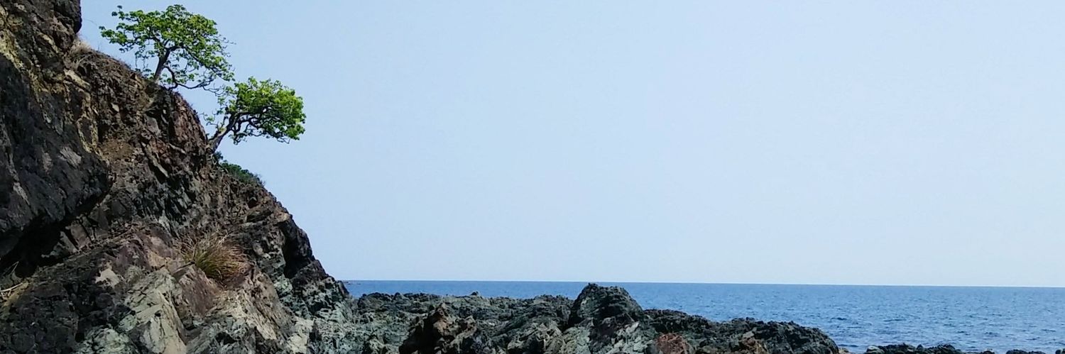 spellmischel's profile banner image