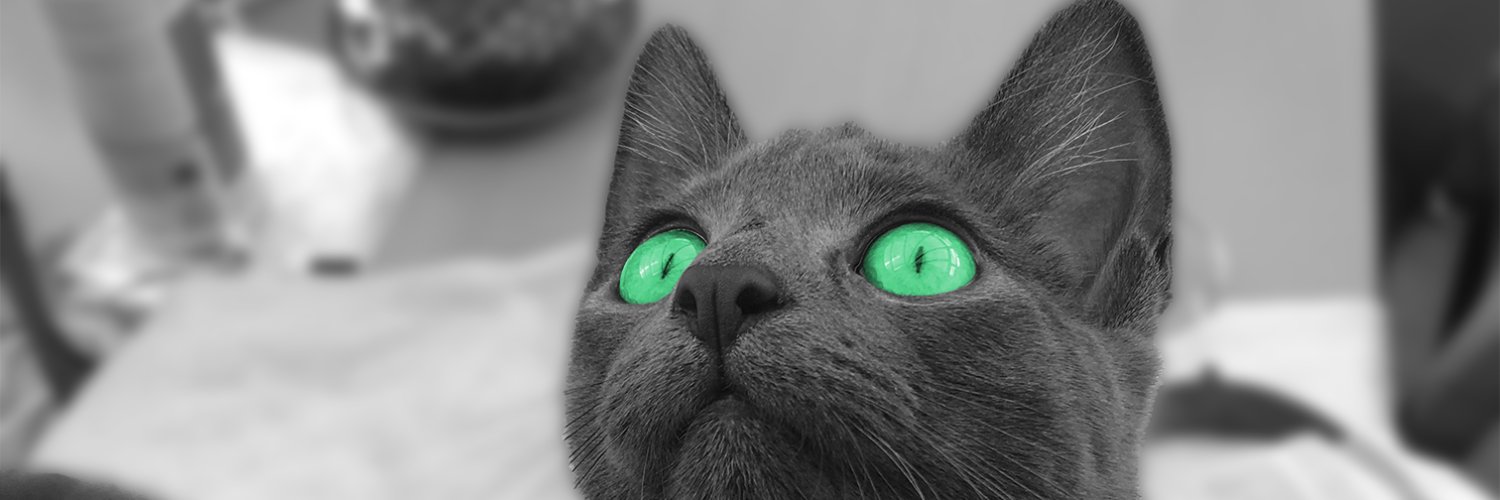 VizenVirgo's profile banner image