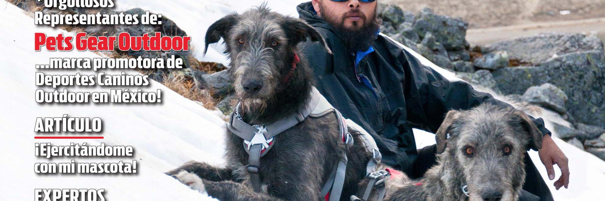 PetsGearOutdoor's profile banner image