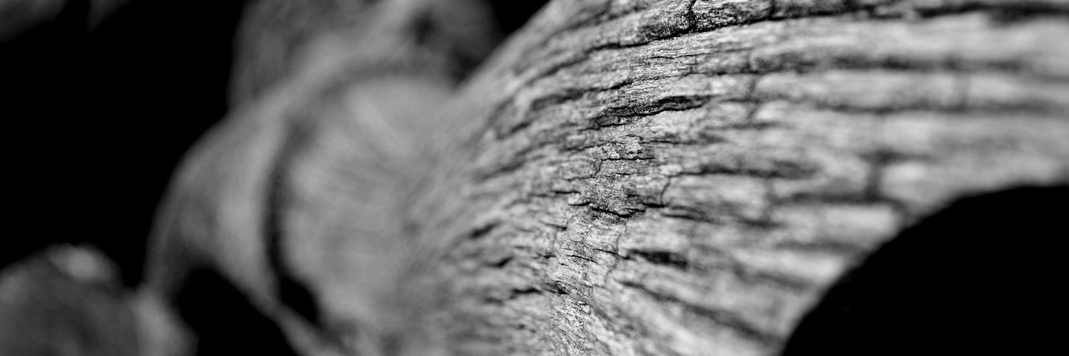 OPointMusic's profile banner image