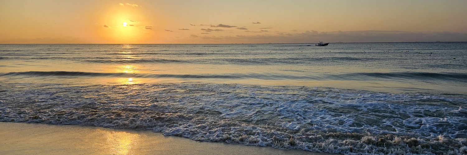 Clem Messerli banner