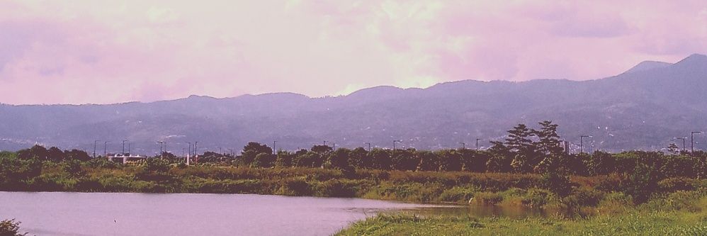 delichaa_19's profile banner image