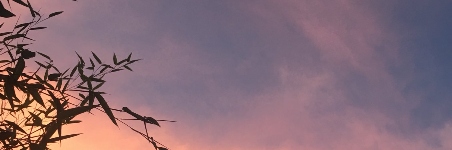 ployden's profile banner image