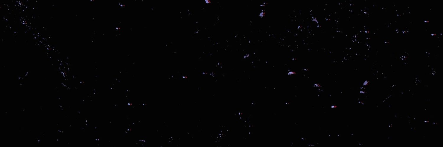 D A A T P banner