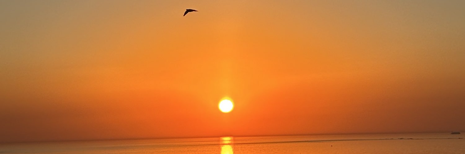 inesmelluso's profile banner image