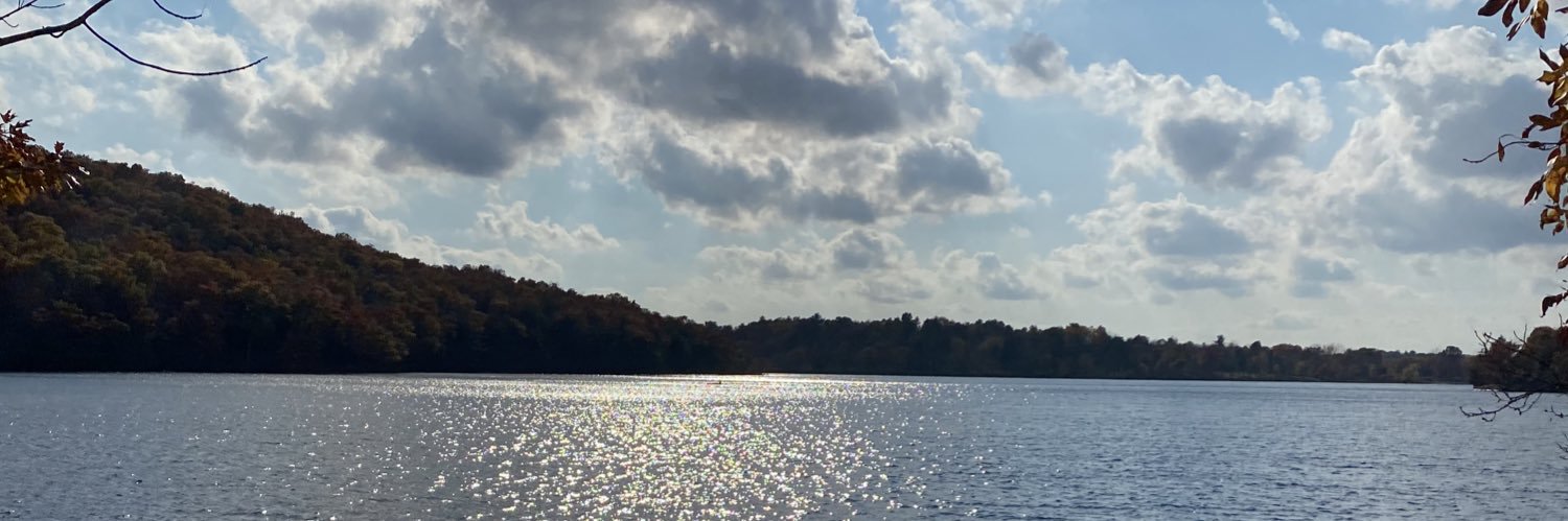 NicoleCozza's profile banner image