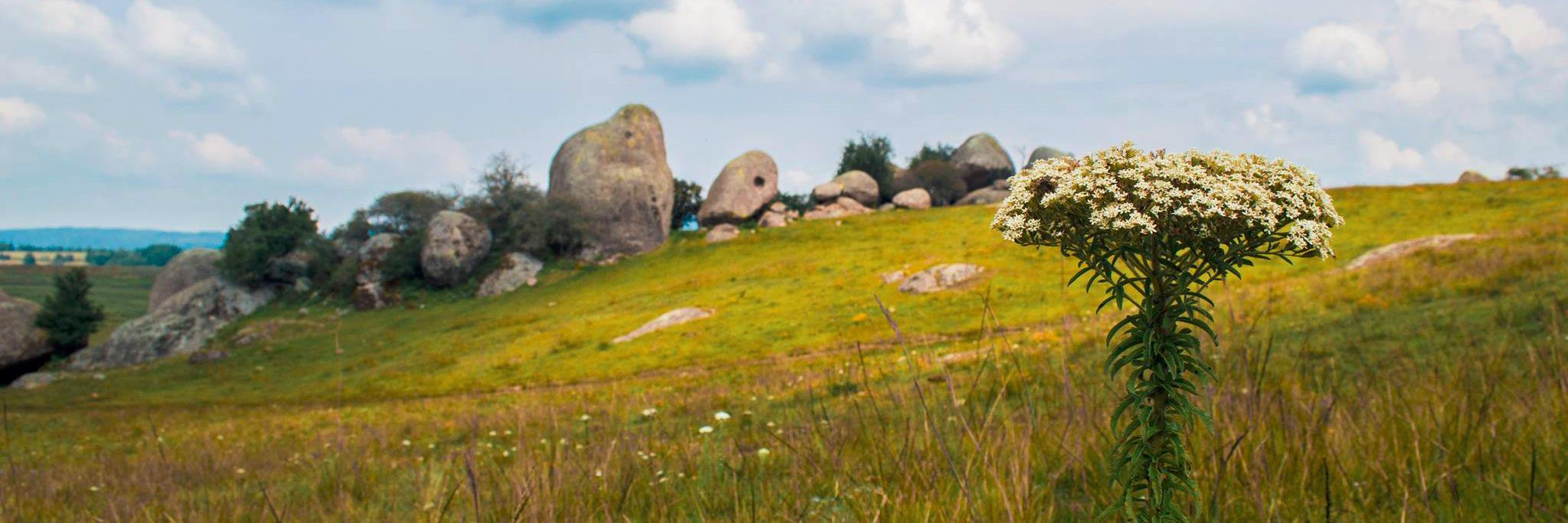 raul_gallery's profile banner image