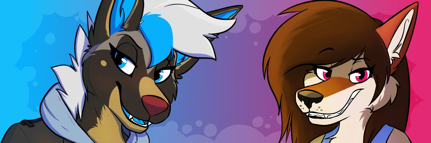 DashCoyote's profile banner image