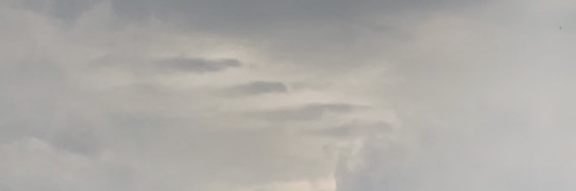 michellexlarry's profile banner image