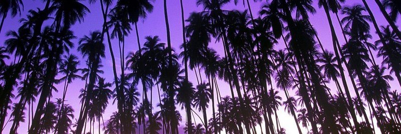 MkBlass's profile banner image