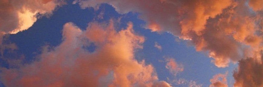 AmayaLuli's profile banner image