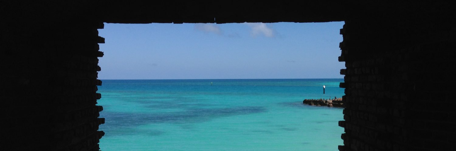 bozmologist's profile banner image