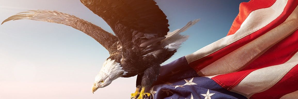 🌅verney🌆13🇺🇸 banner