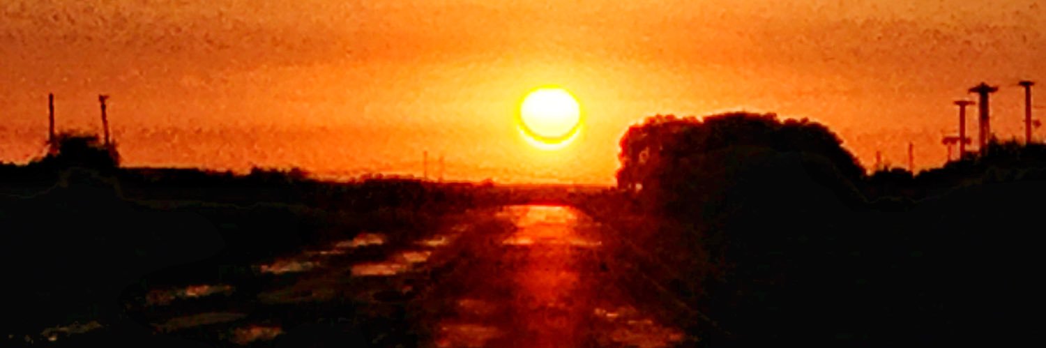 sopadellorto's profile banner image