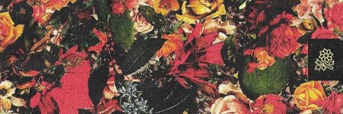 Onyxsilander's profile banner image