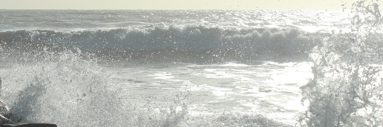 NickiBain's profile banner image