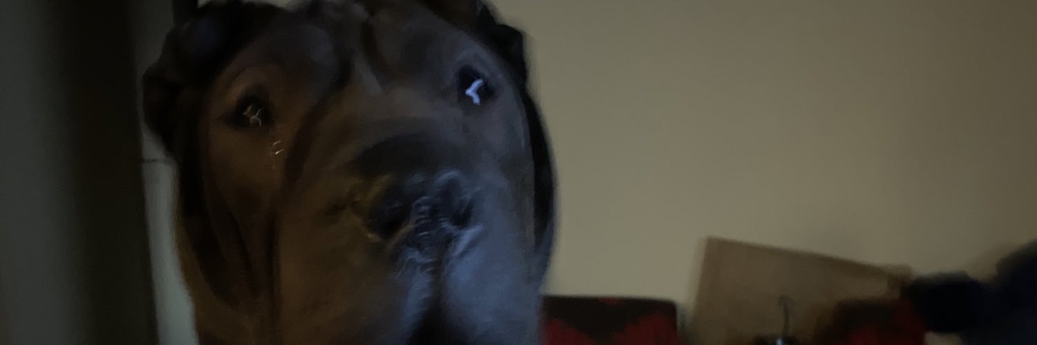 AKA_RGLS's profile banner image