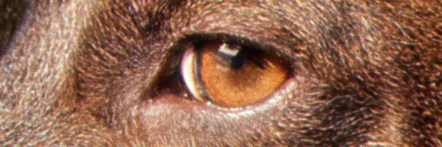 JuliaSahade's profile banner image