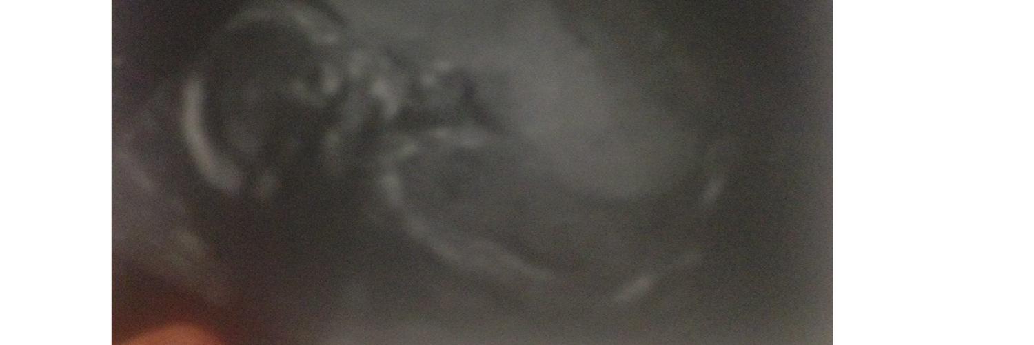 rogersonn's profile banner image