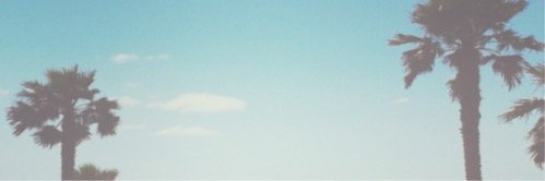 ZozeeBoYTC's profile banner image