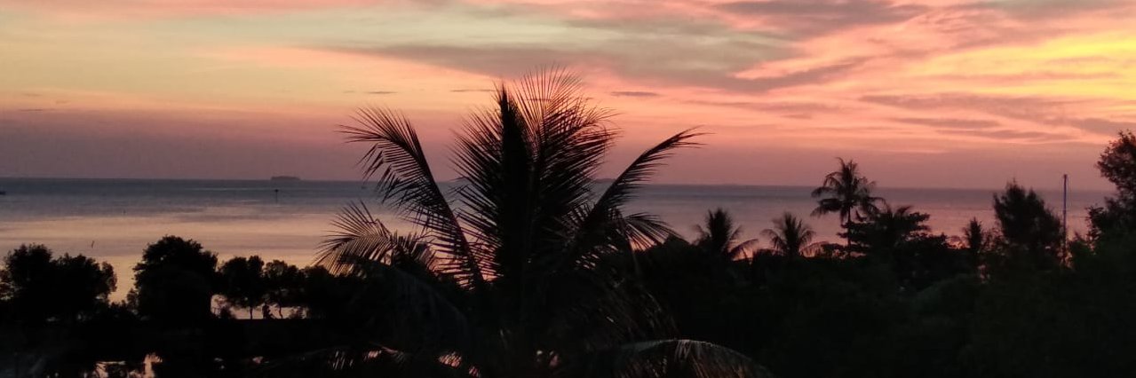 ninangandr's profile banner image
