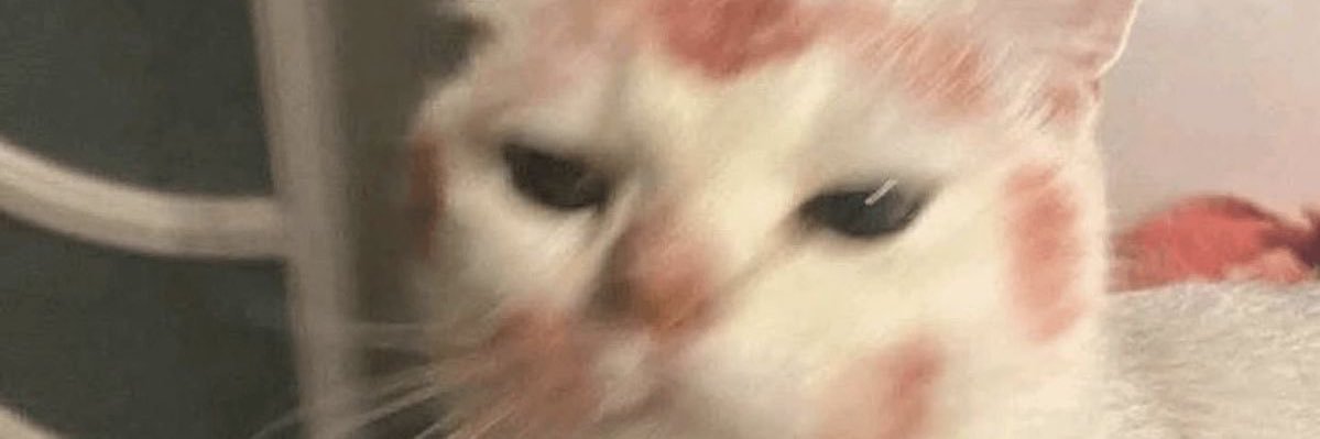 devilynevelyn's profile banner image