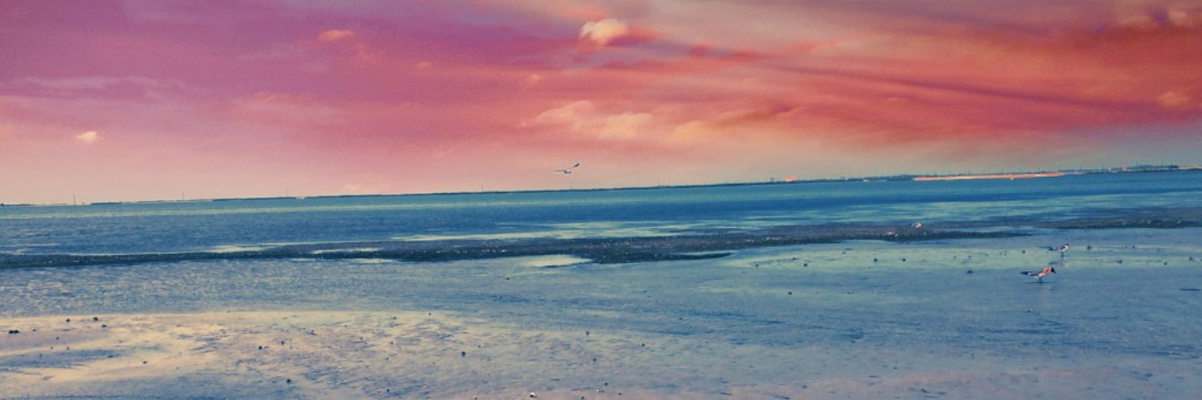 taylorr01's profile banner image