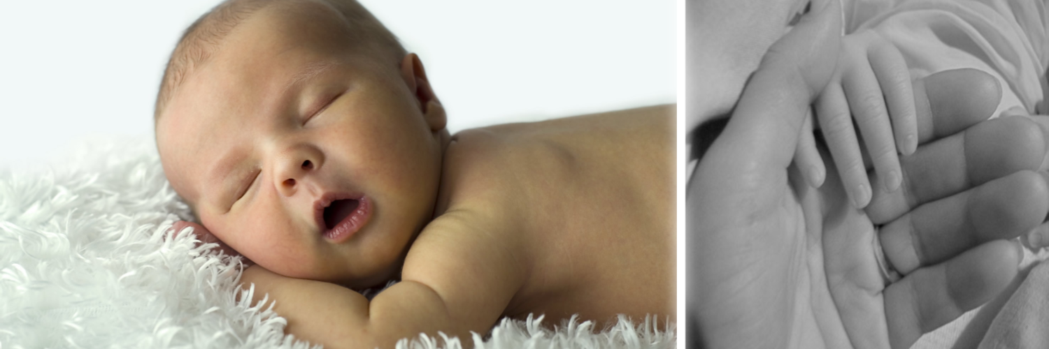 Gem City Diaper Bank banner