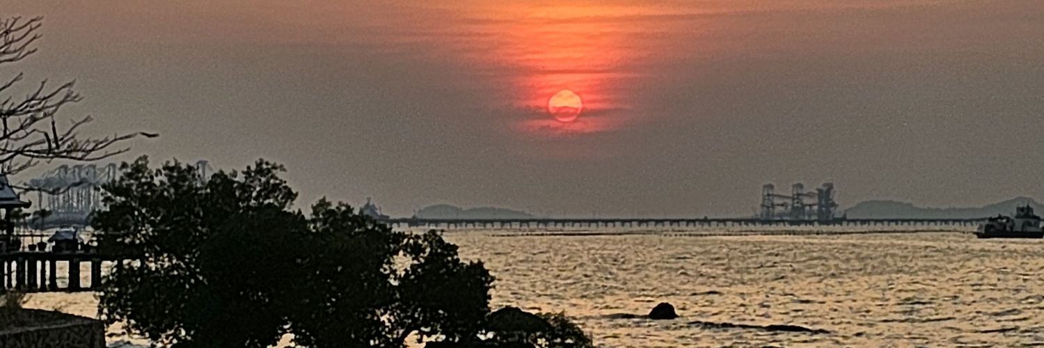 001🚀🐍🦒🏸🍷🎸 banner