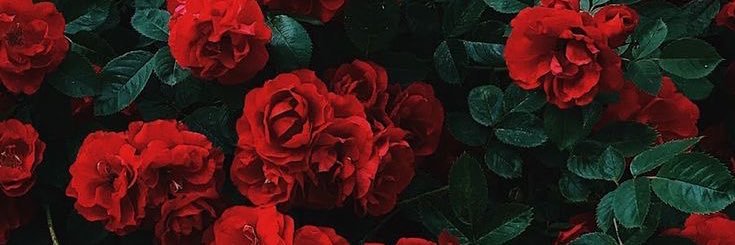 enalrornd's profile banner image