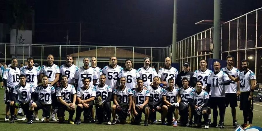 Dragons Flag Team banner