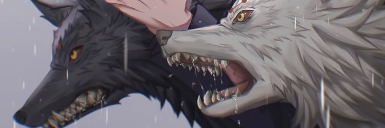 mikeydco's profile banner image