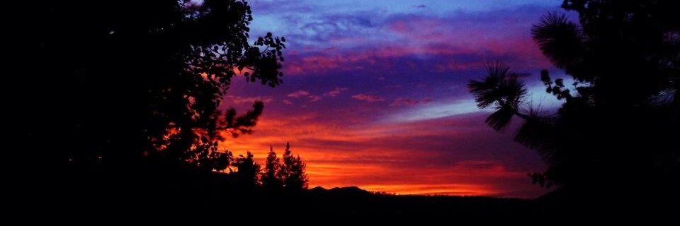 Kathy Gilbert banner