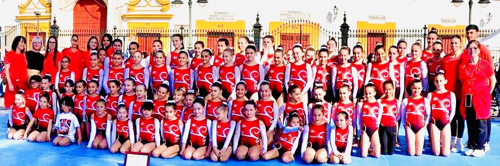 GimnasticoSur's profile banner image