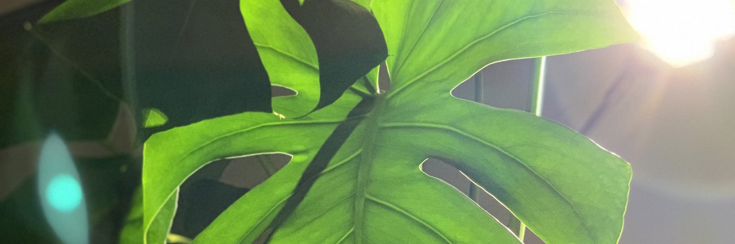 JordanTJenkins's profile banner image