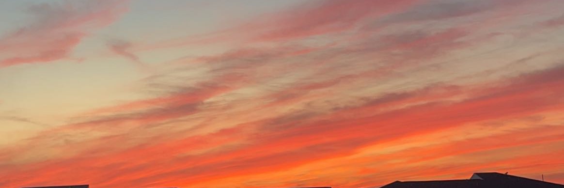 julissaprietoo's profile banner image