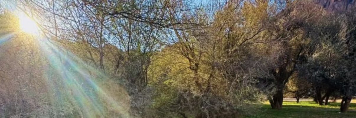 Badranms's profile banner image