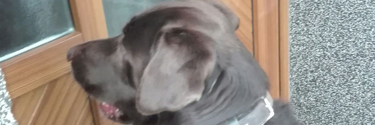 🔞w0rthl3ss🌈🍖🔞 banner