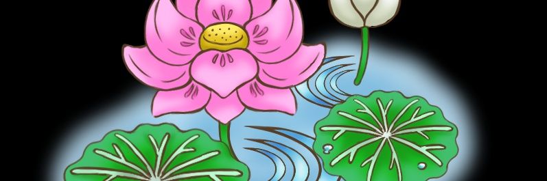 kimama_usagi's profile banner image