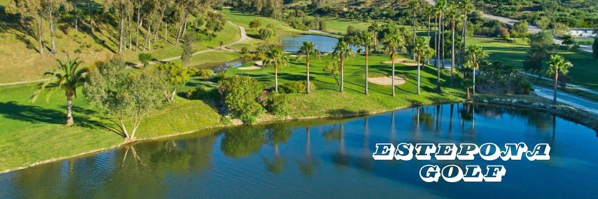 EsteponaGolf's profile banner image