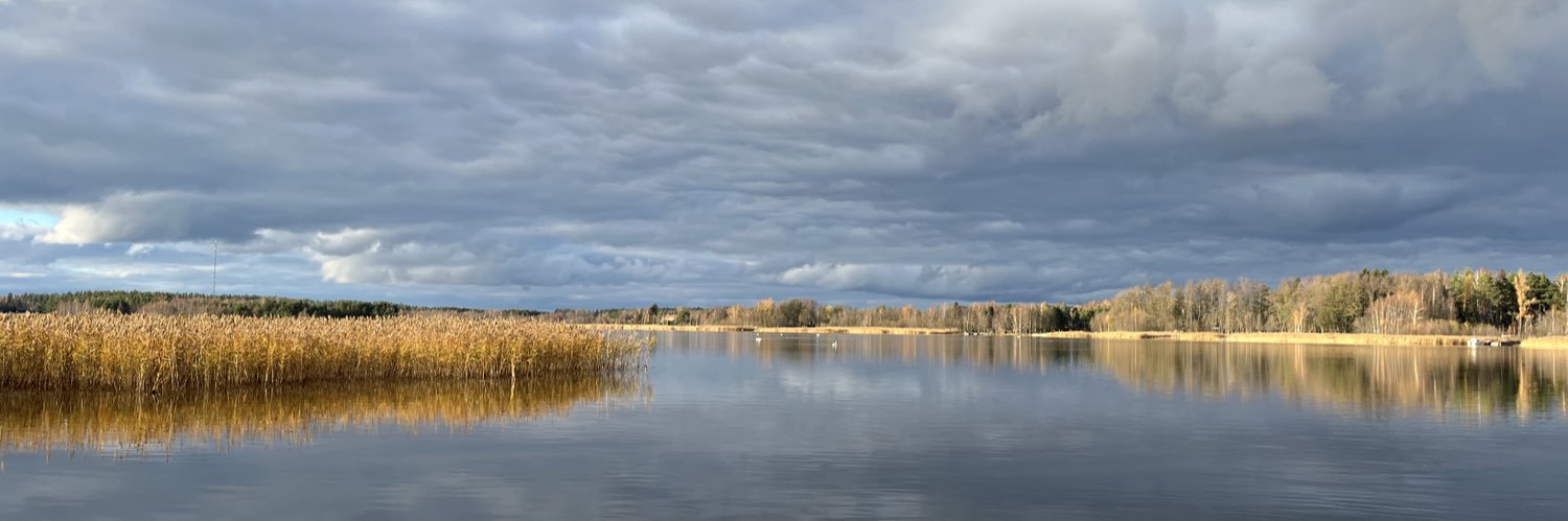markusmontonen's profile banner image