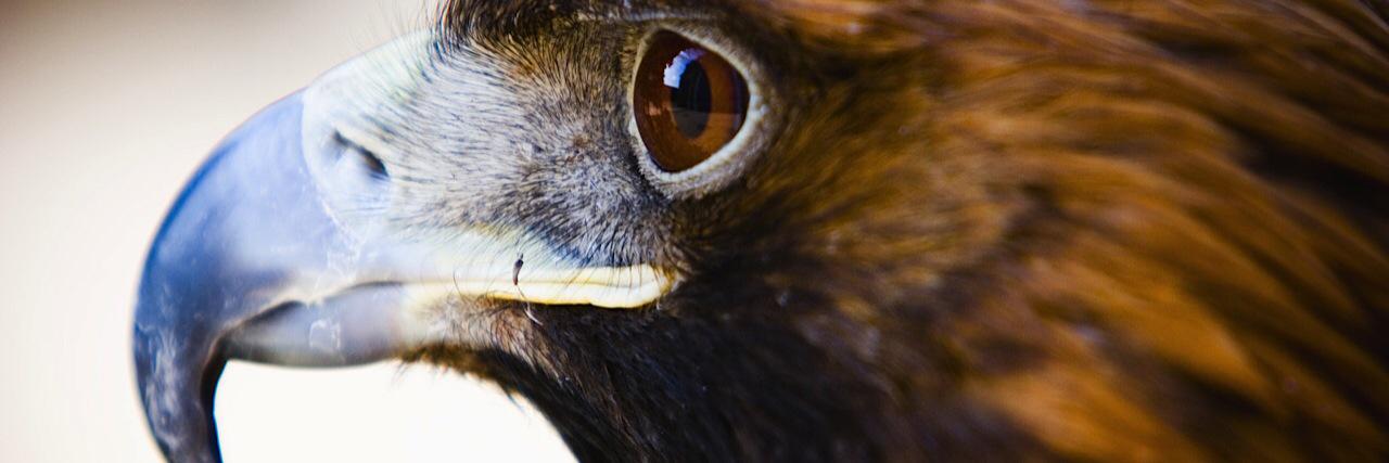 barfuss7's profile banner image
