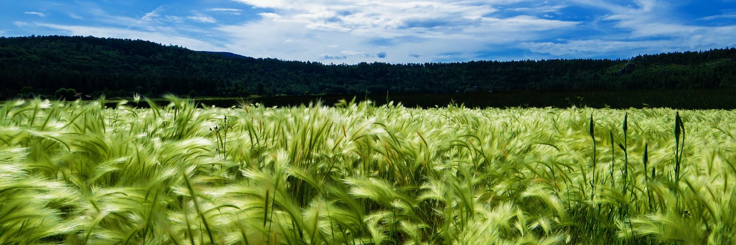 tarımsal istatistik banner