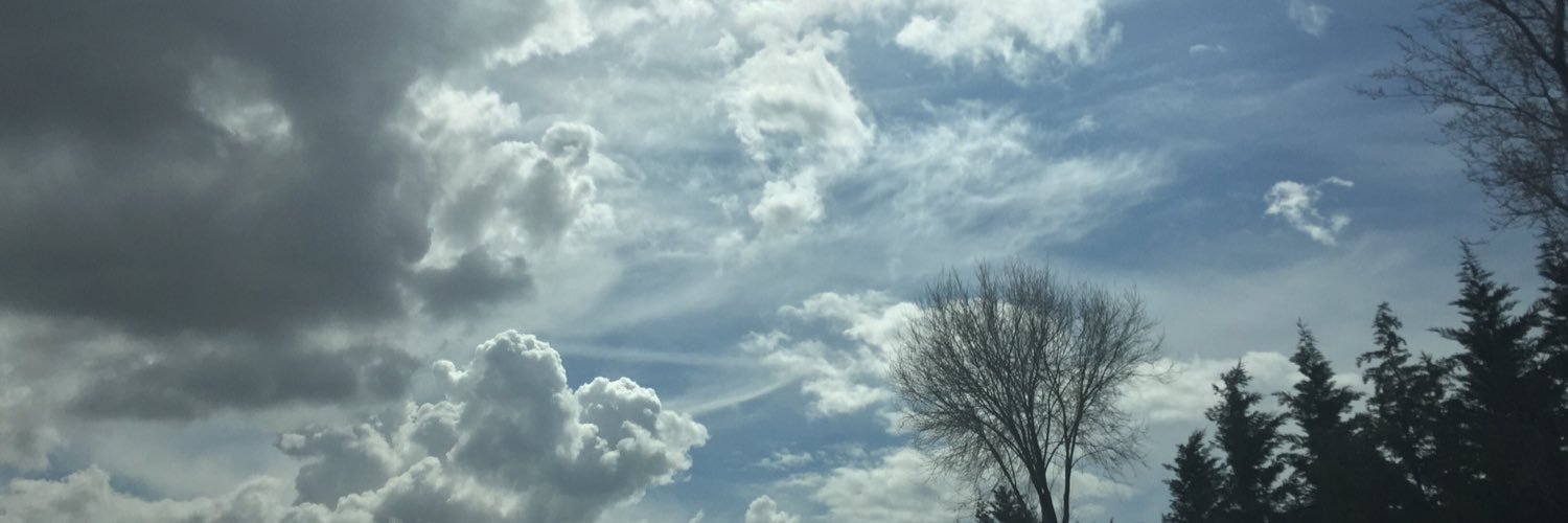 Elena_Alri's profile banner image