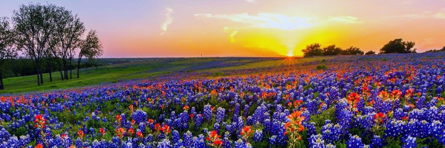 Mark Mead 🇺🇸🇮🇱 banner