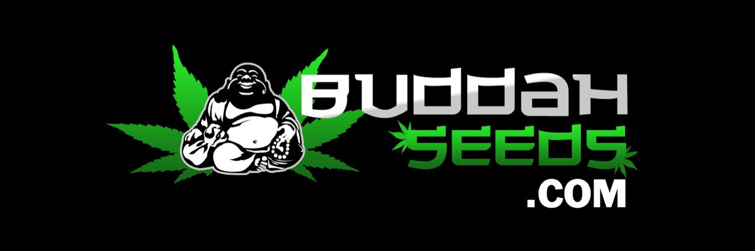 BuddahSeeds's profile banner image